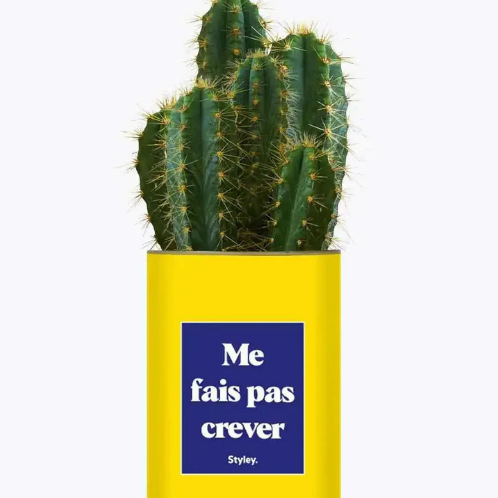 Pacchetto DU POT'ENTIEL