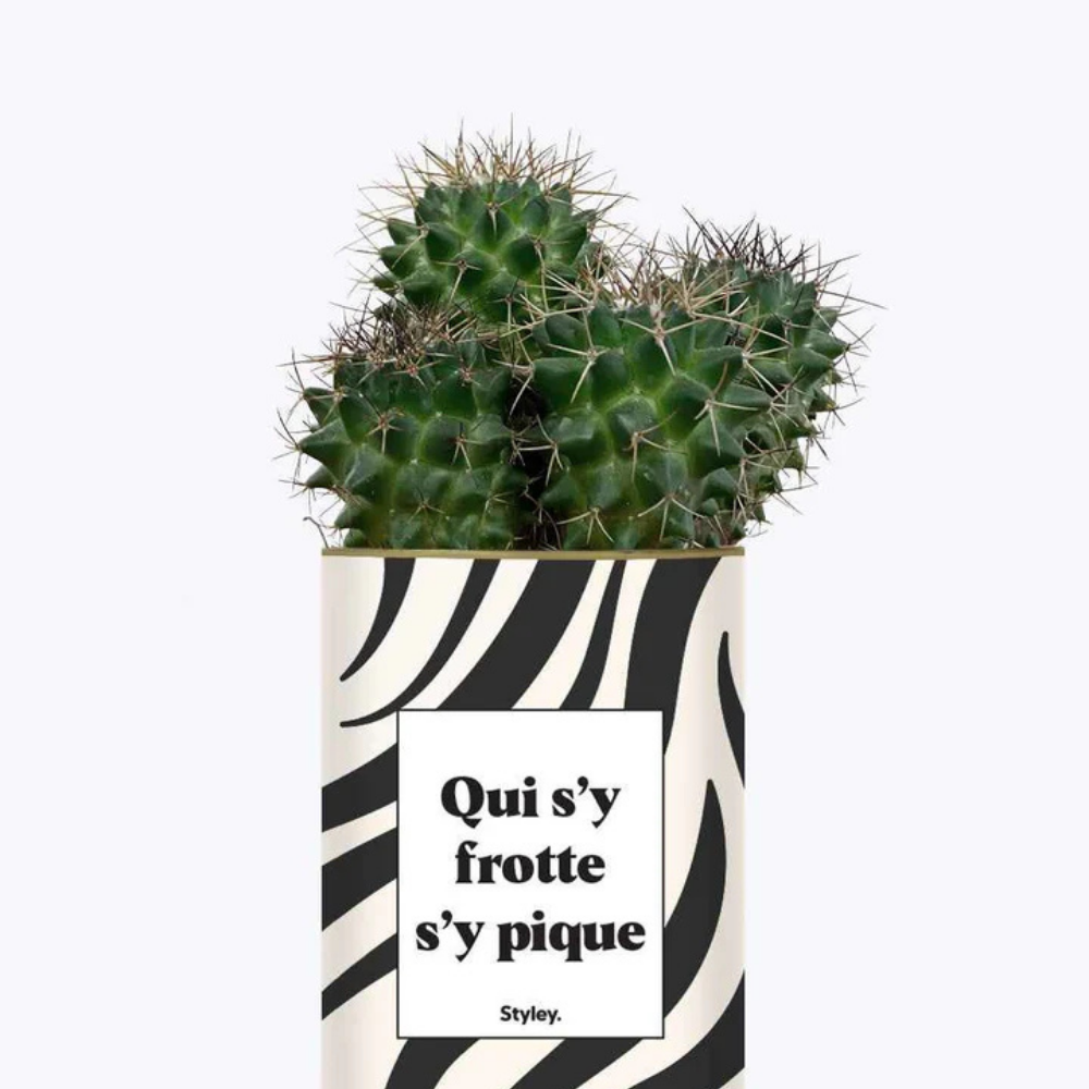 Pacchetto DU POT'ENTIEL