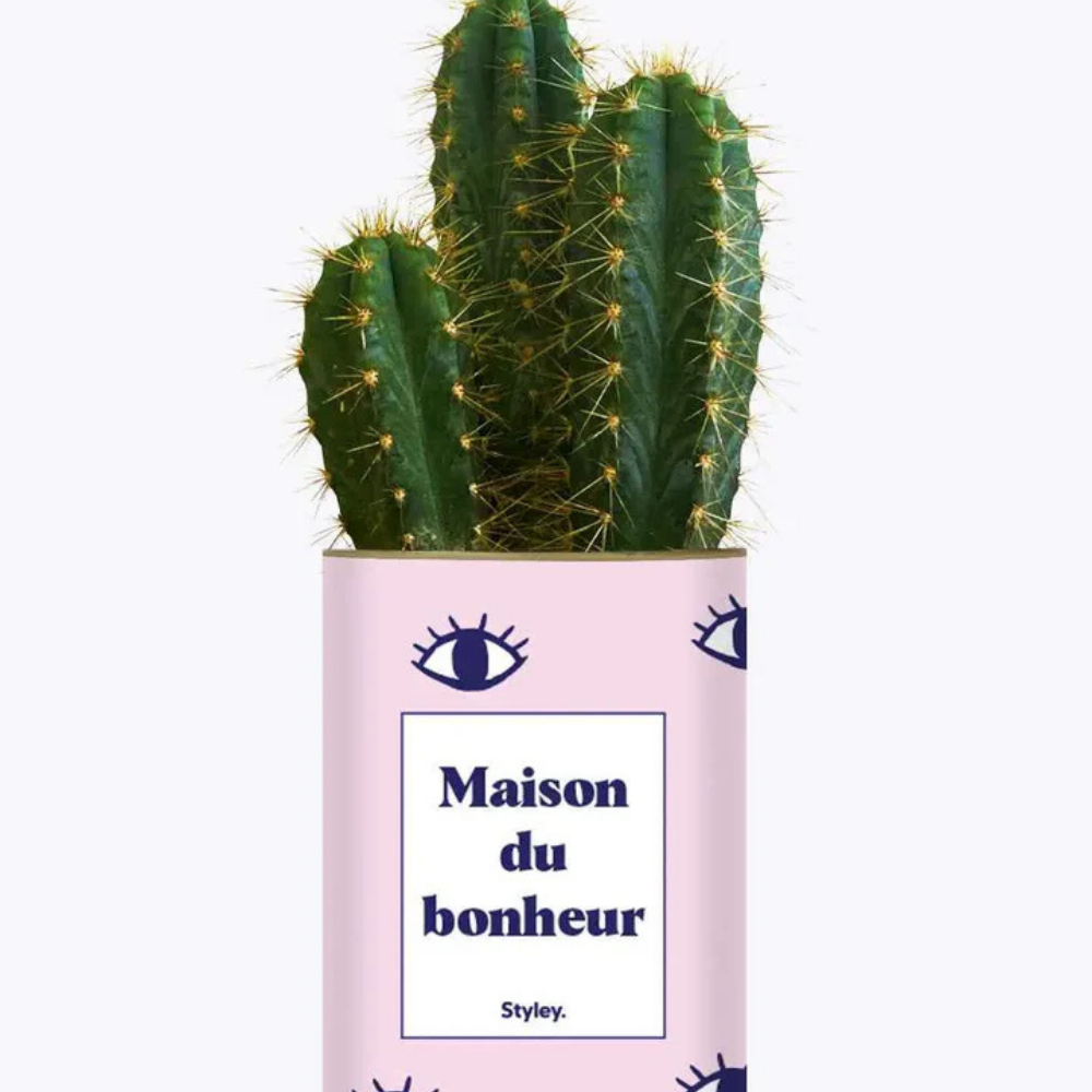 Pacchetto DU POT'ENTIEL