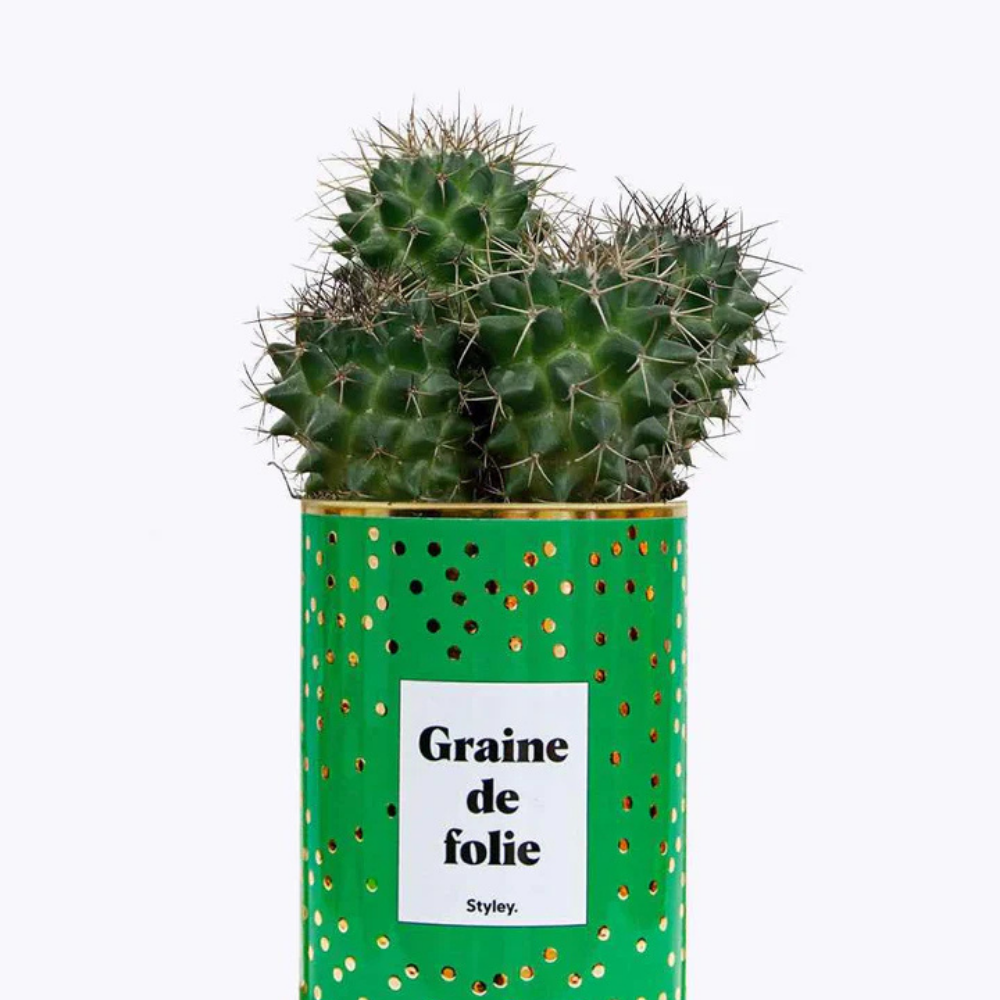 Pacchetto DU POT'ENTIEL