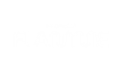 Riaccendere il logo della fiamma