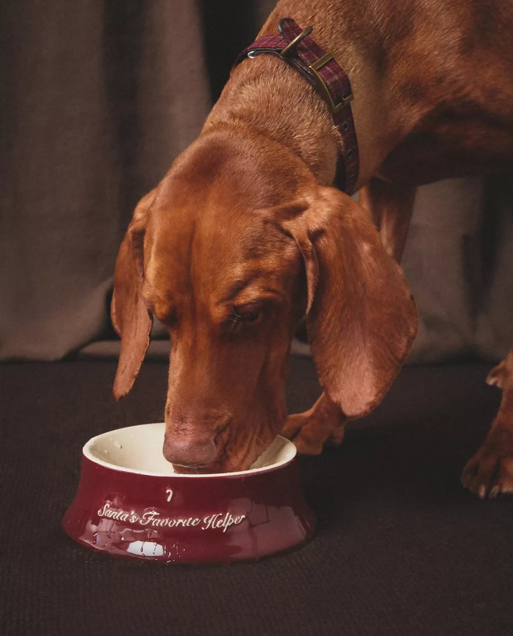Gamelle en grès pour animaux – Noël