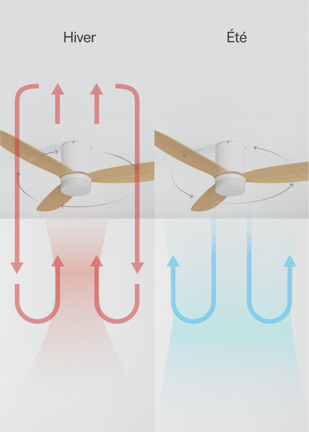 Wind Lite M - Ventilatore da soffitto silenzioso per interni ed esterni - Con luce e comando a parete - Bianco e legno chiaro