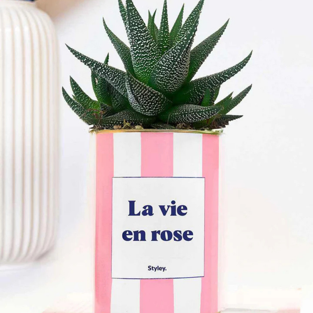 Pacchetto DU POT'ENTIEL