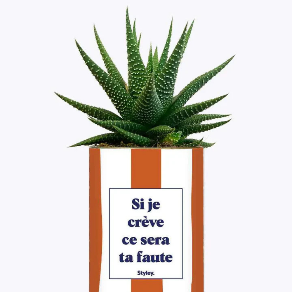 Pacchetto DU POT'ENTIEL