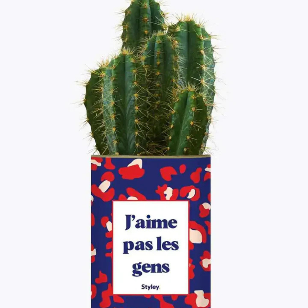 Pacchetto DU POT'ENTIEL