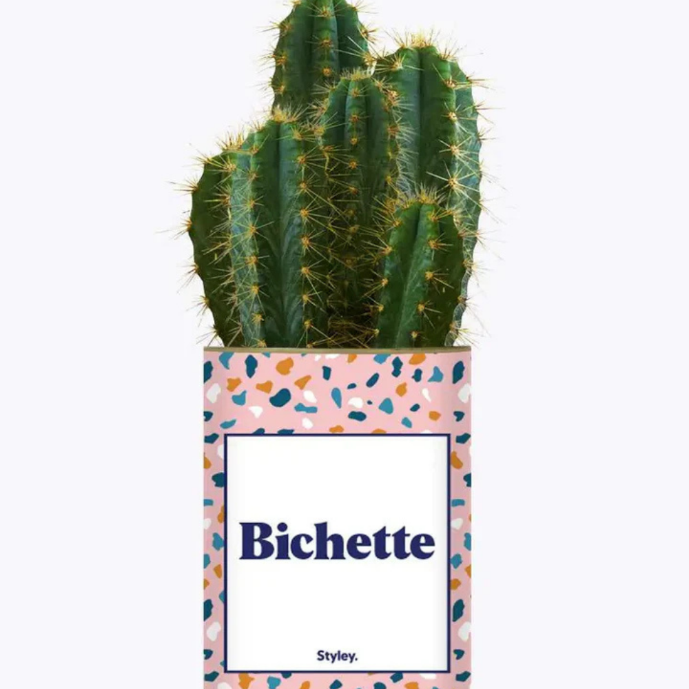 Pacchetto DU POT'ENTIEL
