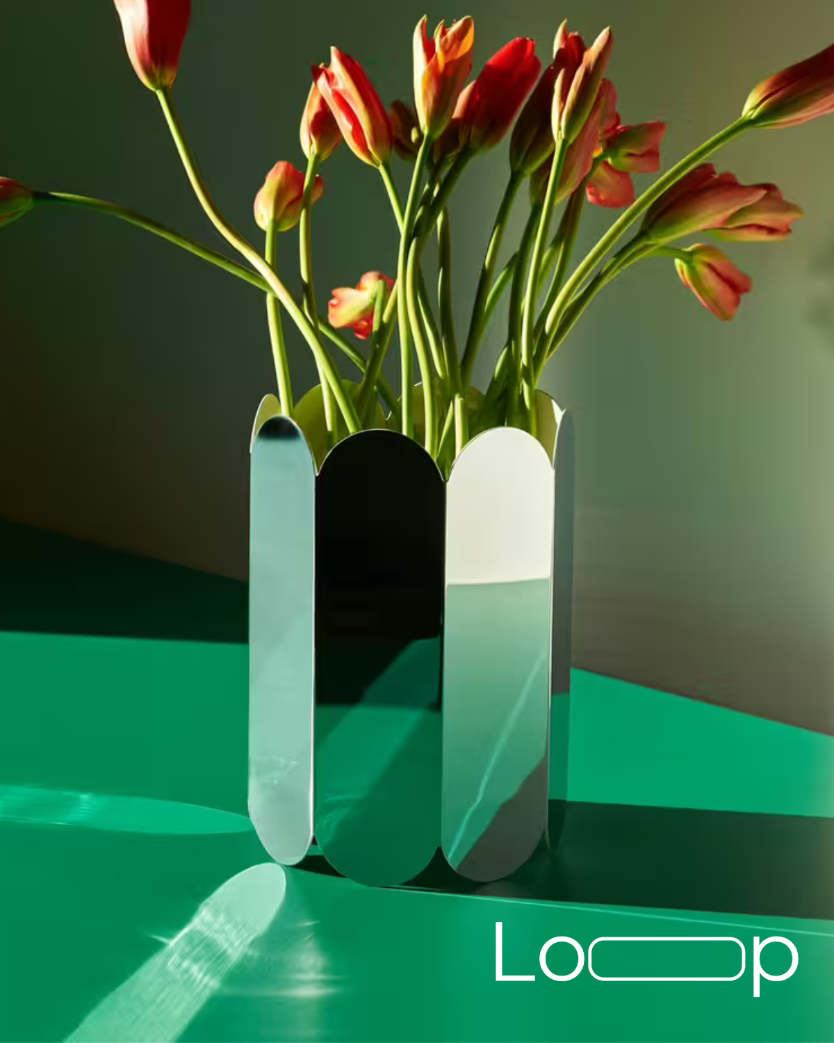 Pack Descubrimiento – Brillo Geométrico