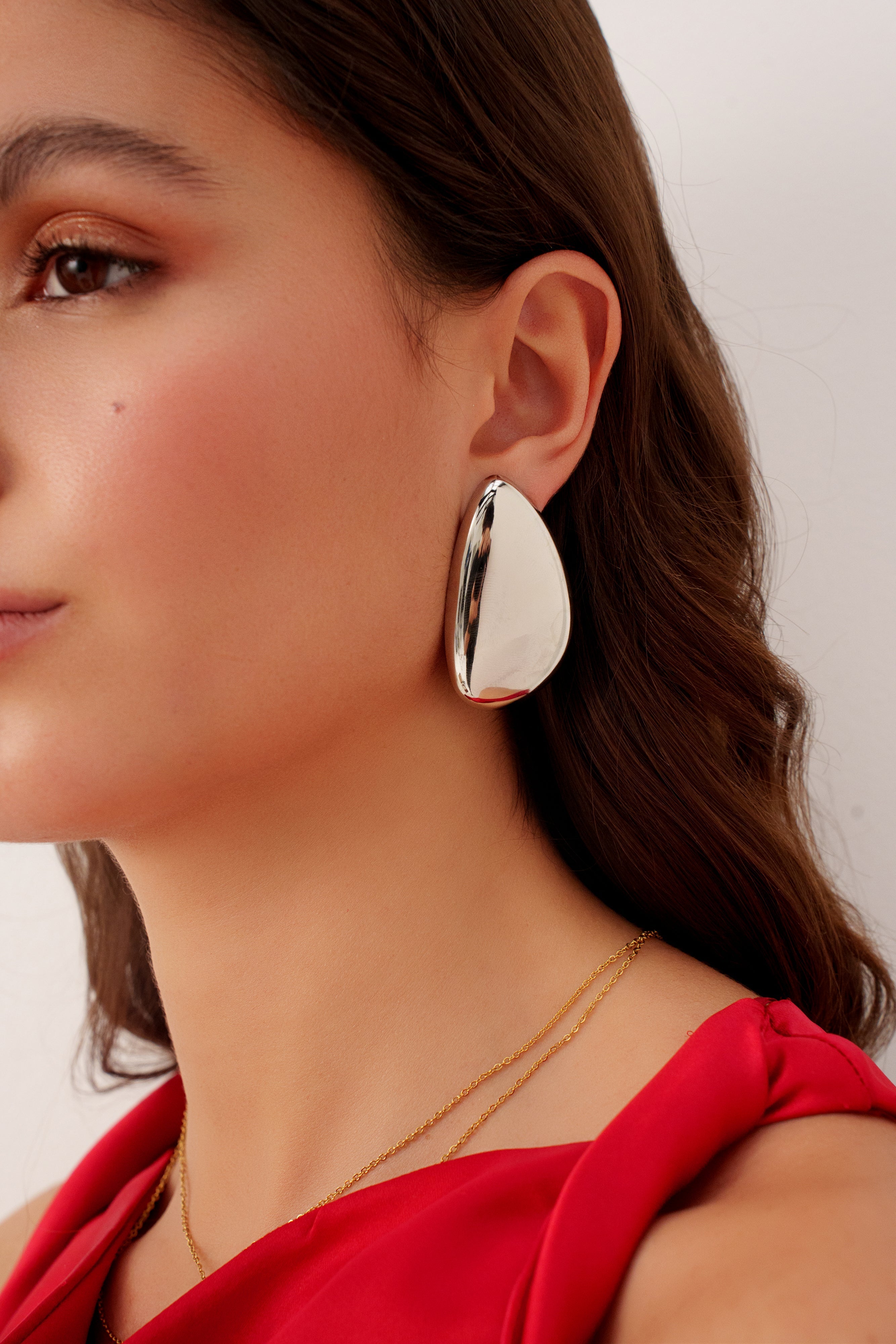 Orecchini in argento