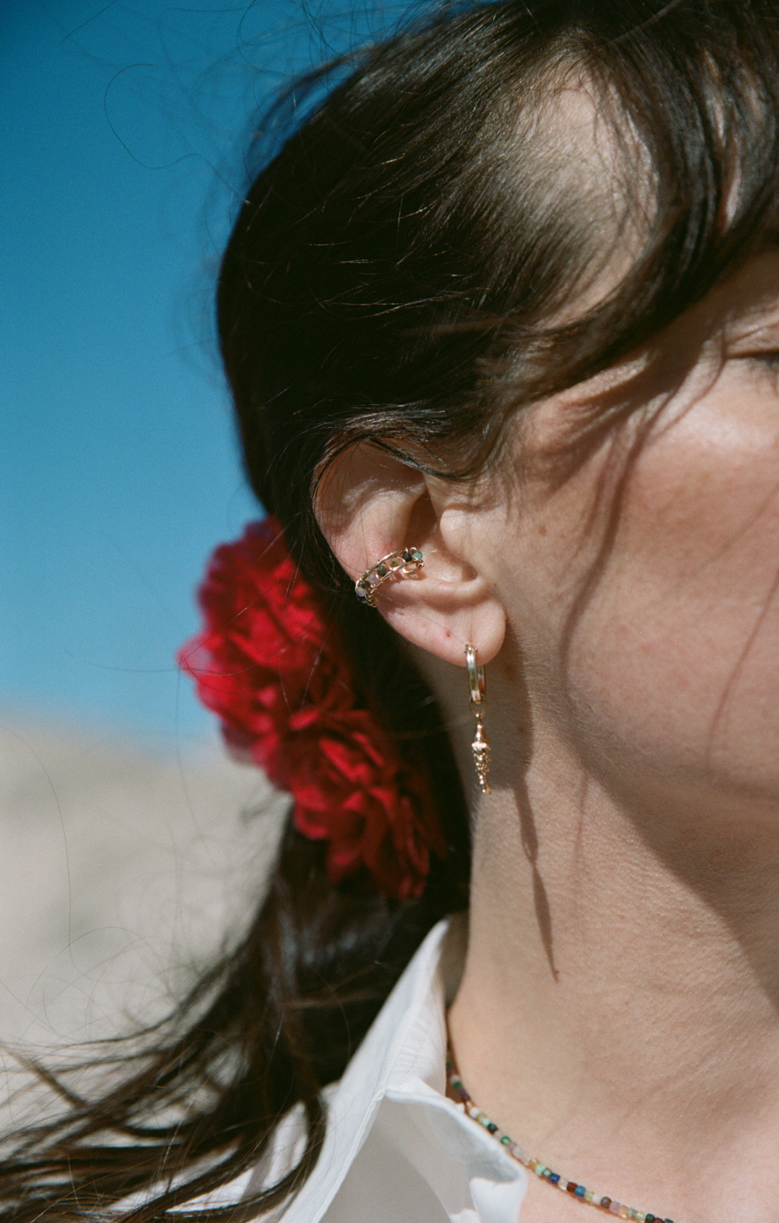 Pez criollo y langosta À L'Unité