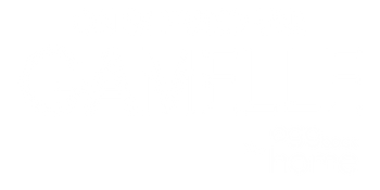 Logo: Taking a Tumble