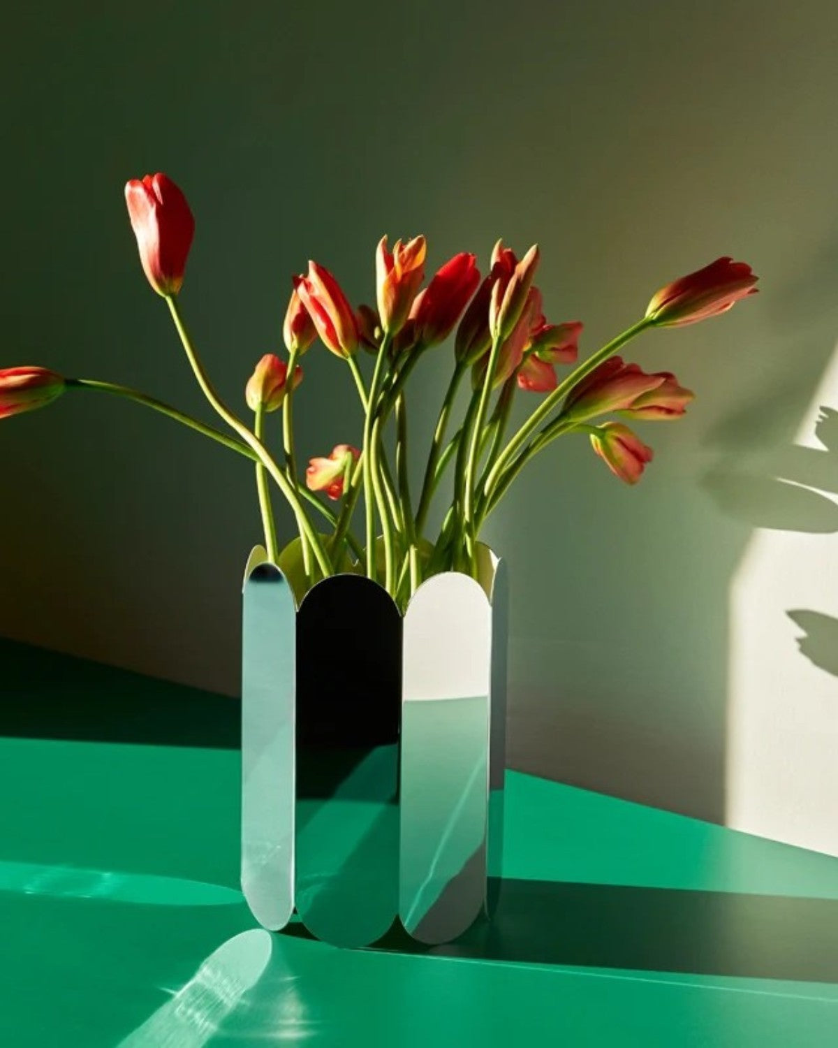 Pack Descubrimiento – Brillo Geométrico