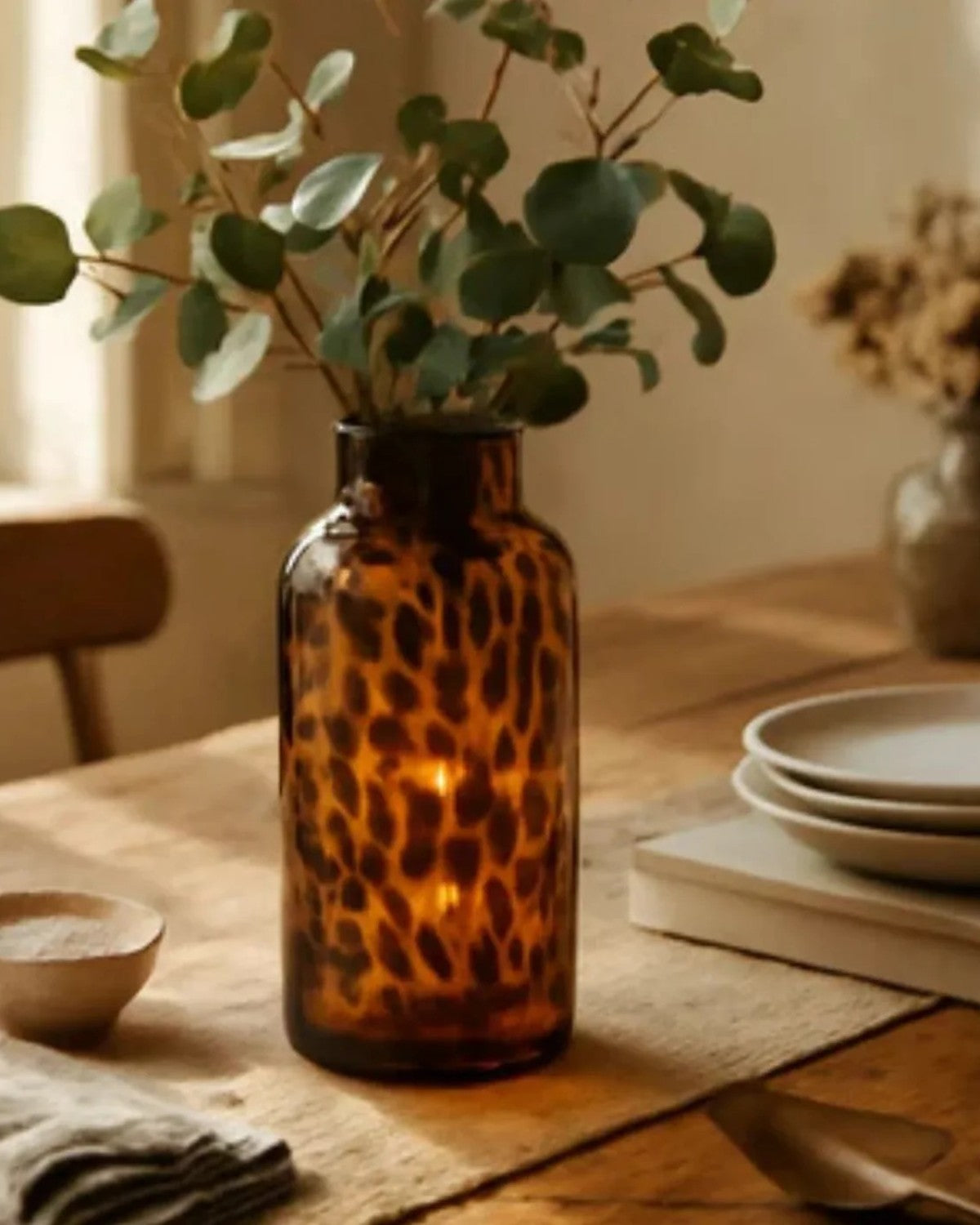 Pack Descubrimiento – Ámbar Salvaje